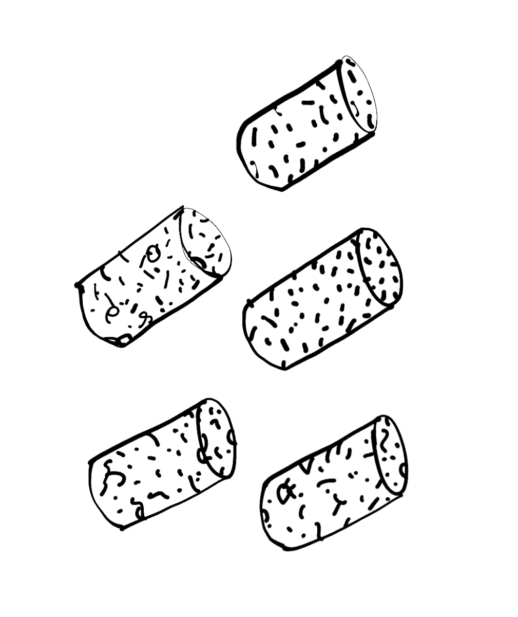 GrapeTimes – GREAT WINES; GREAT TIMES – Wineshop