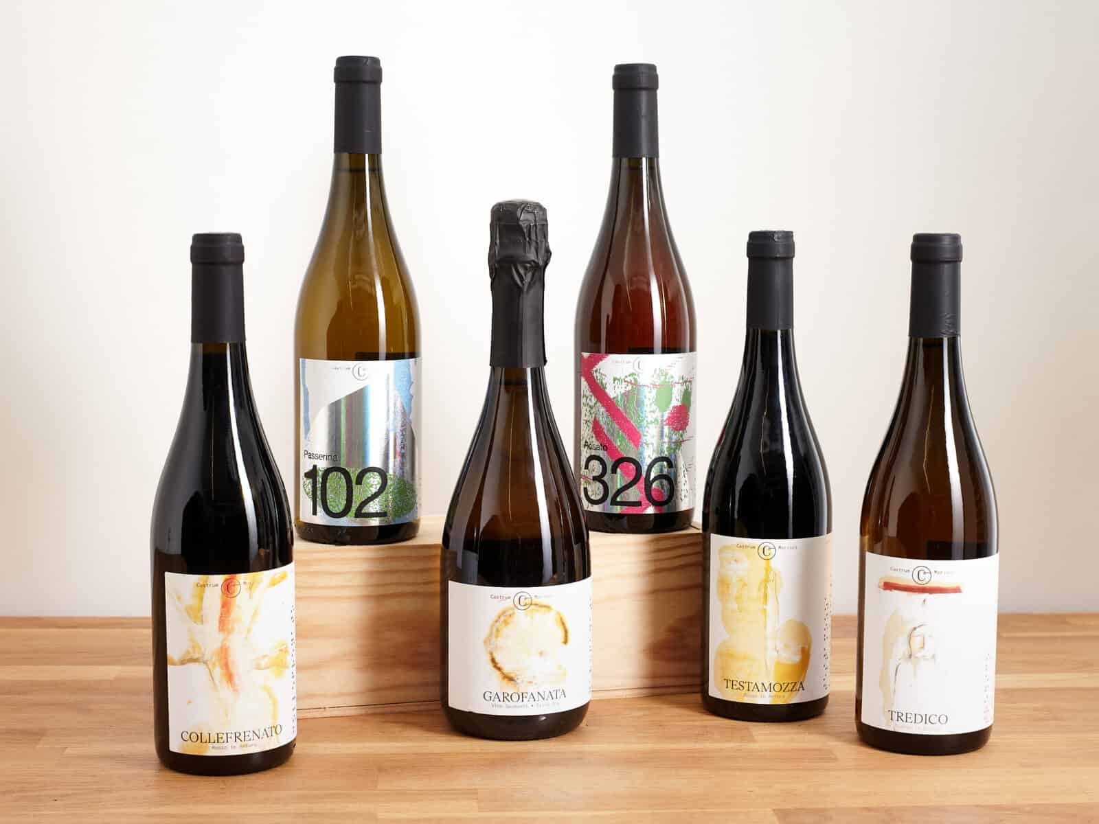 GrapeTimes - GREAT WINES; GREAT TIMES - Wine Shop