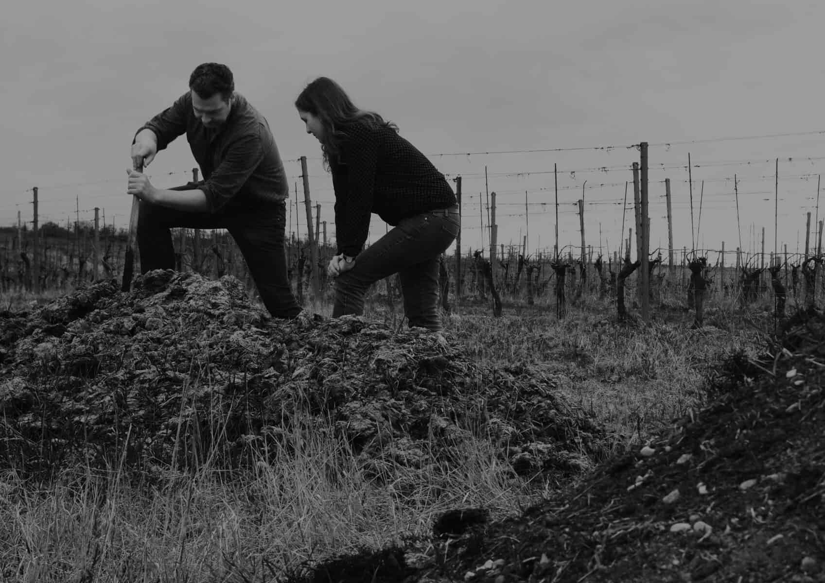 GrapeTimes – GREAT WINES; GREAT TIMES – Wineshop