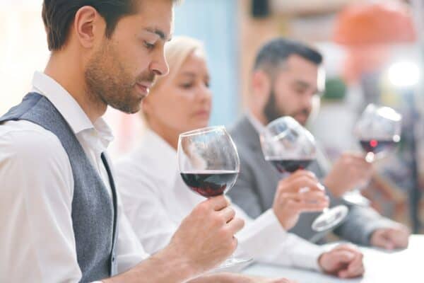 Red Wine Connoisseur